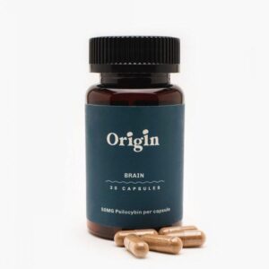 brain health mushroom capsules